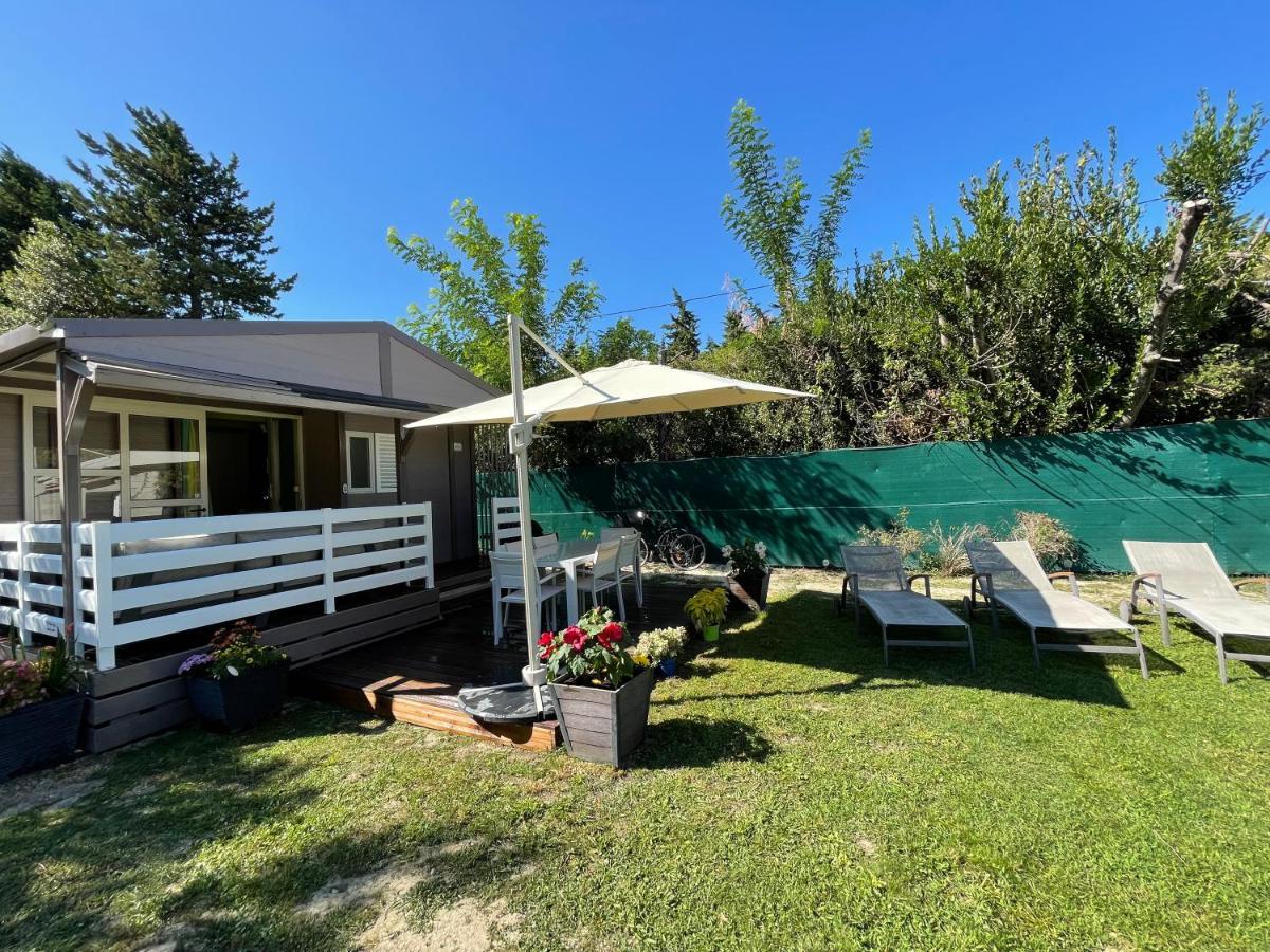 Avignon, Joli Chalet En Campagne Tres Proche De La Ville Eksteriør billede